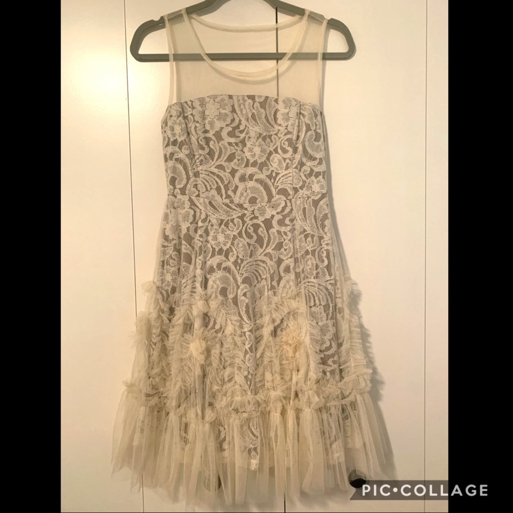 Rye lace mesh dress